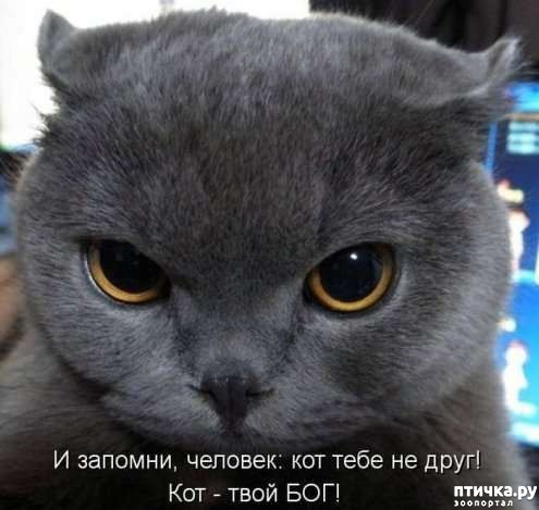 ���� 2: �����������: ��������.