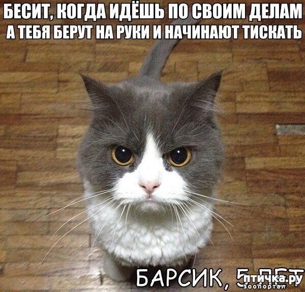 ���� 5: �����������: ��������.