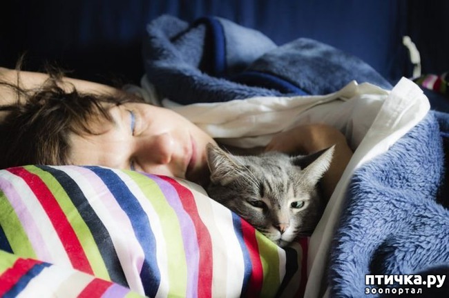 ���� 7: �����������: ��������.