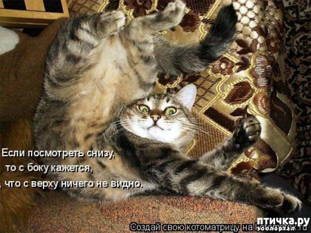 ���� 9: �����������: ��������.