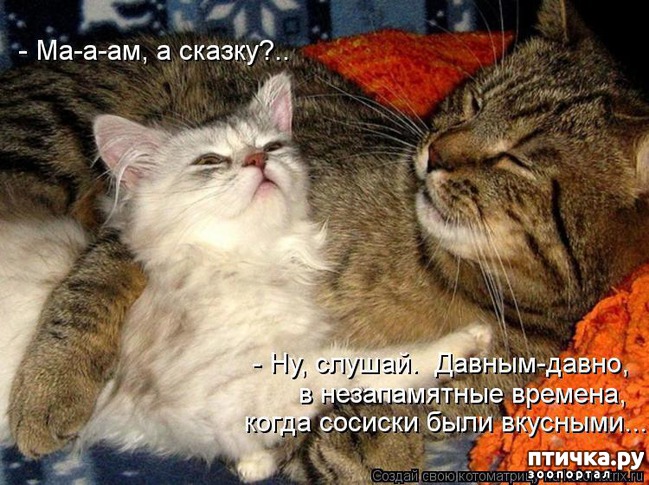 ���� 10: �����������: ��������.