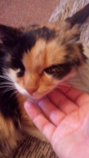 ����: ��� ���� � ������?