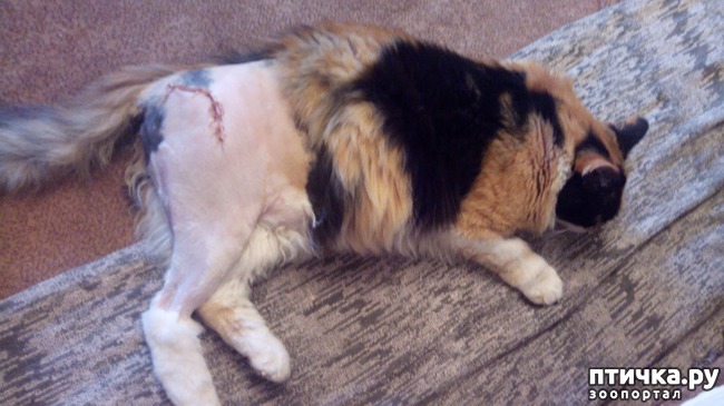 ���� 2: ��� ���� � ������?