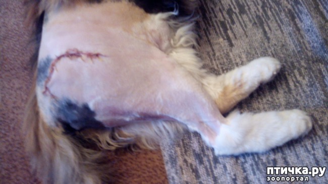 ���� 3: ��� ���� � ������?