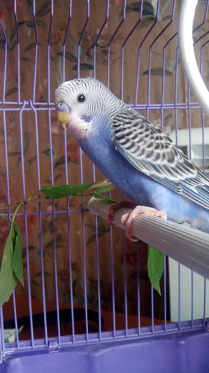 ����: � ���� ����� ����