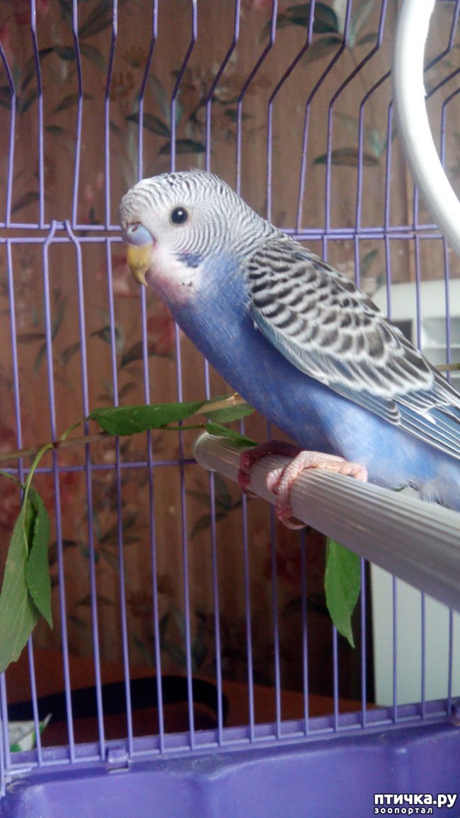 ���� 1: � ���� ����� ����