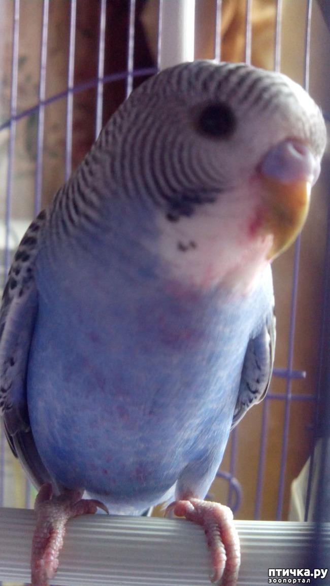 ���� 2: � ���� ����� ����