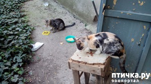 ����: ������ ������� ����� � ������ - ��� ���� �����!