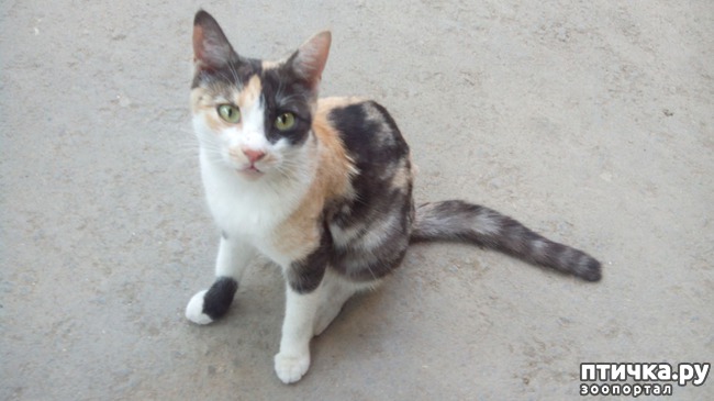 ���� 2: ������ ������� ����� � ������ - ��� ���� �����!