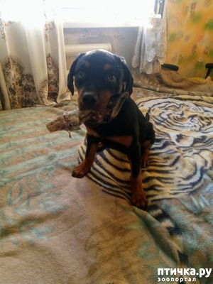 ����: ����� � ����������