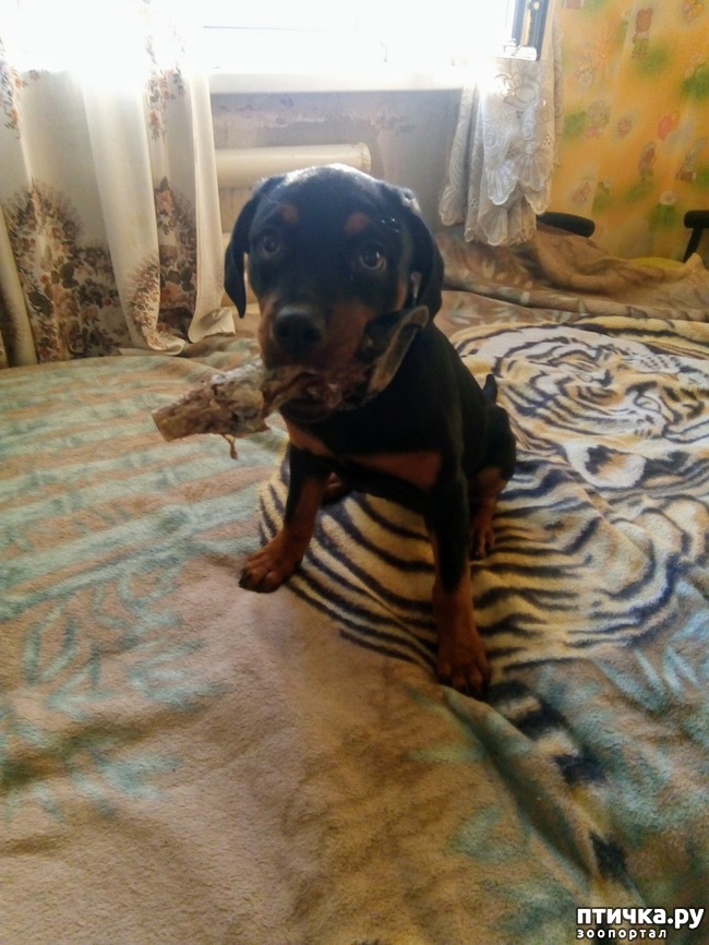 ���� 1: ����� � ����������