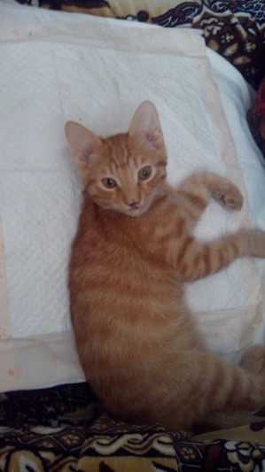 ����: � ������ ��� ��������