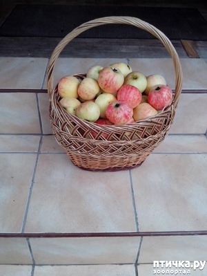 ����: ����� ������...