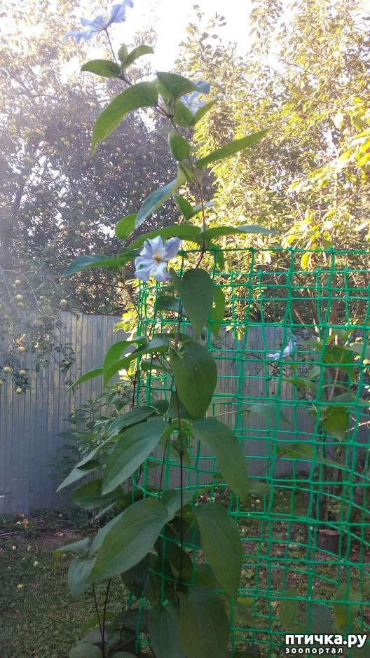 ���� 2: ����� ������...