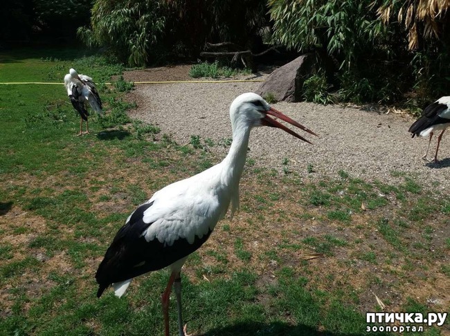 ���� 3: ����� ������...