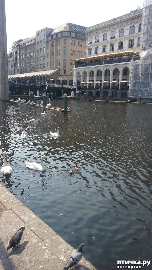 ���� 4: ����� ������...