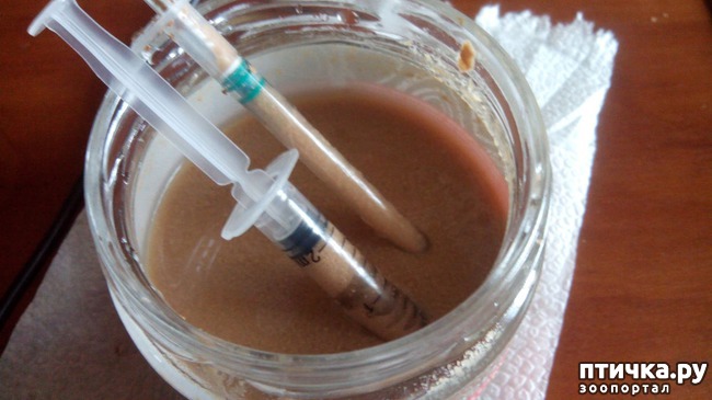 ���� 2: � ������ ��� ��������