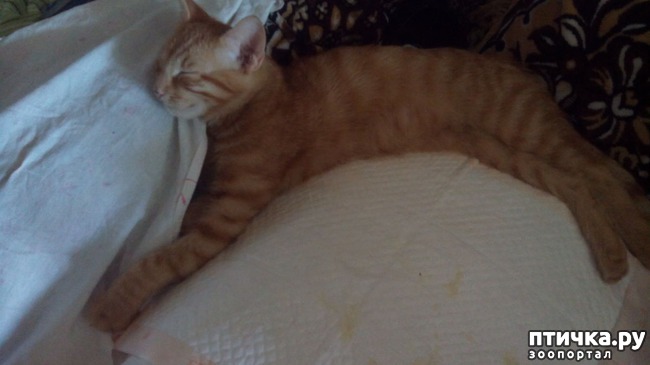 ���� 3: � ������ ��� ��������