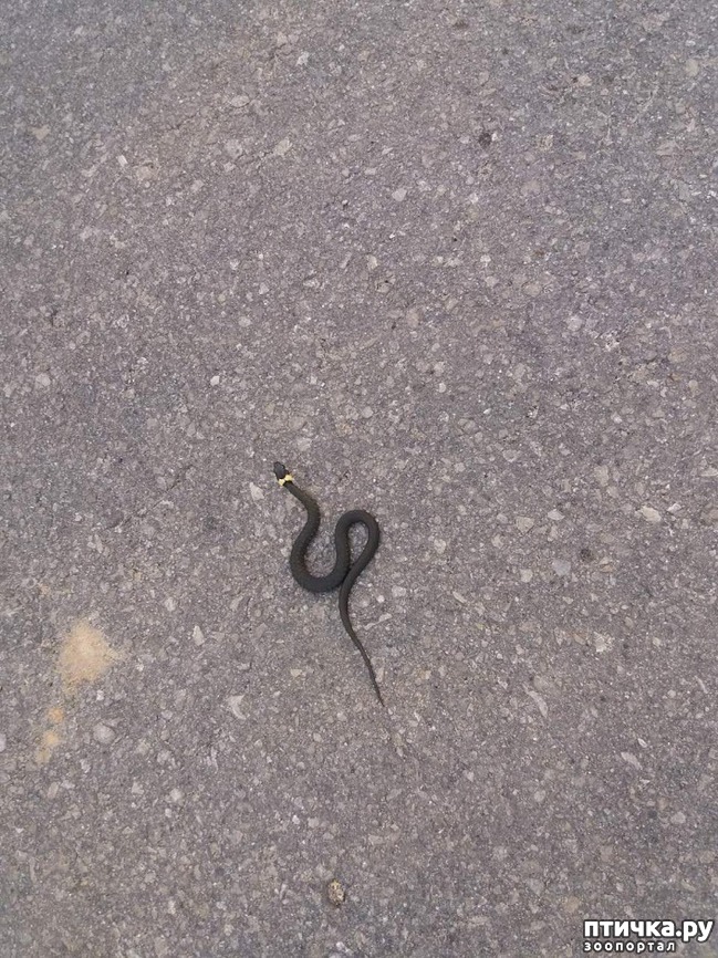 ���� 5: ����� ������...