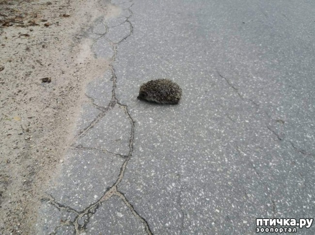 ���� 6: ����� ������...