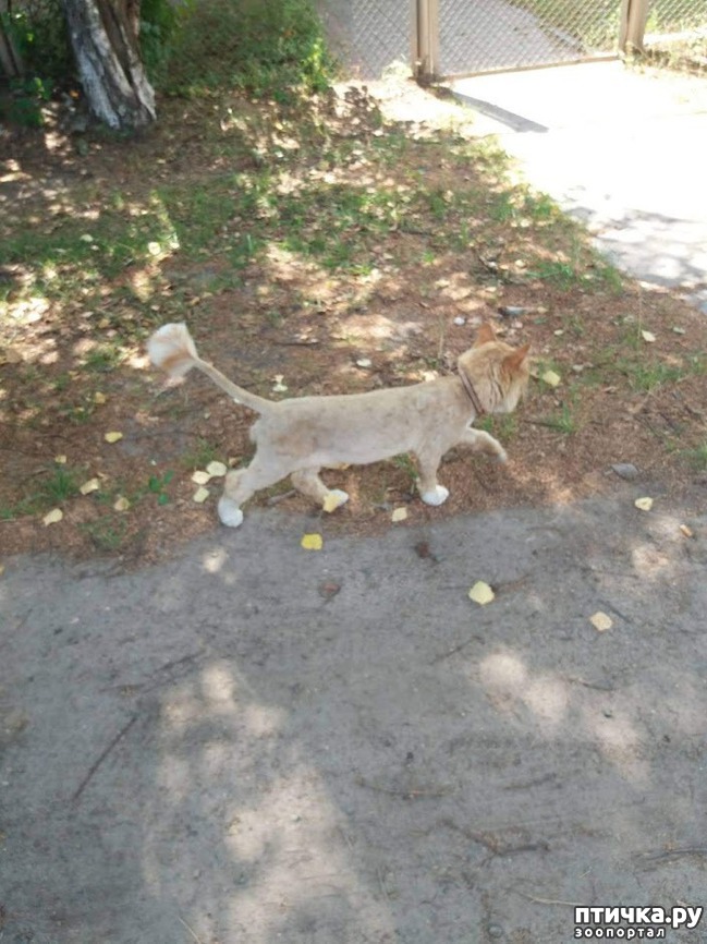 ���� 7: ����� ������...