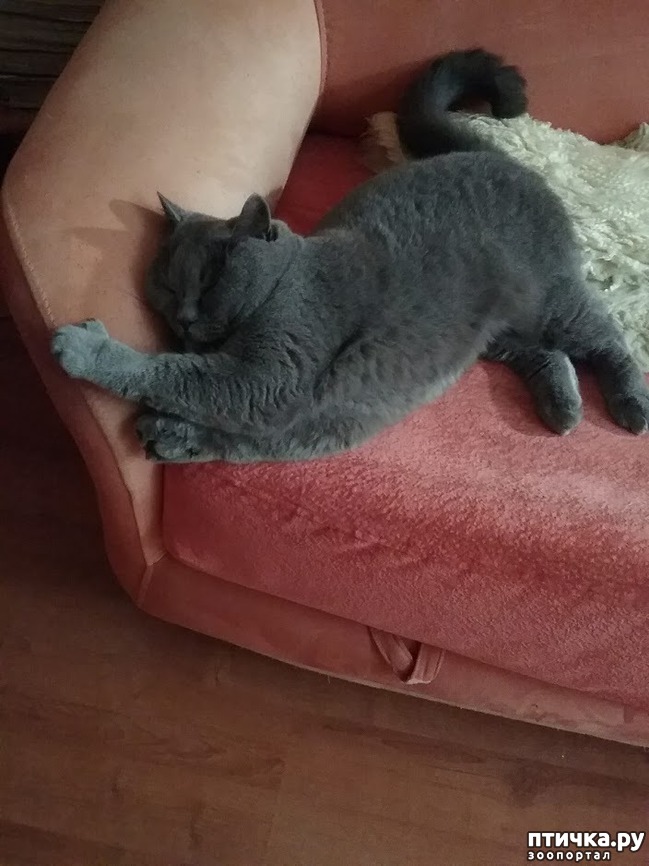 ���� 8: ����� ������...