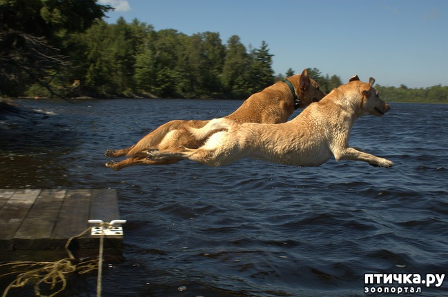 ���� 9: ����� ������...