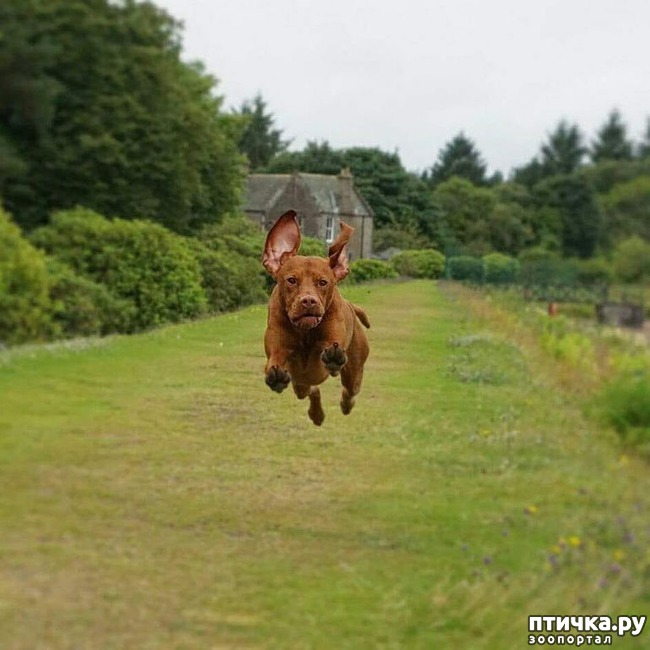 ���� 10: ����� ������...