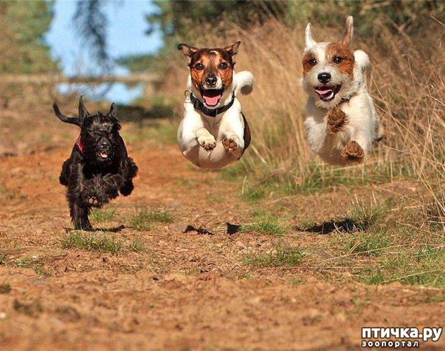 ���� 12: ����� ������...