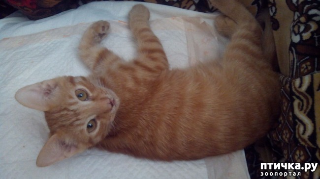 ���� 4: � ������ ��� ��������