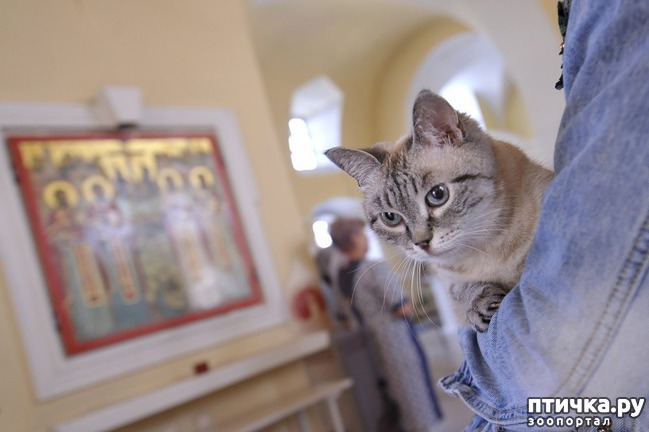 ���� 3: ���� � ������: � ����������� ��������� ��������� �������