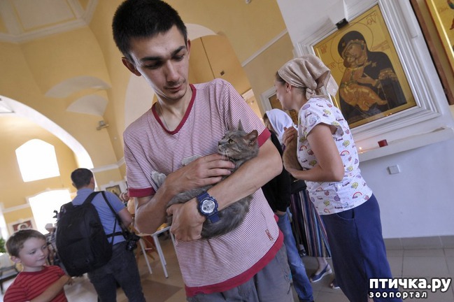 ���� 5: ���� � ������: � ����������� ��������� ��������� �������