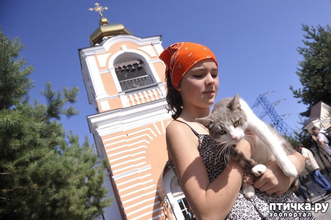 ���� 13: ���� � ������: � ����������� ��������� ��������� �������