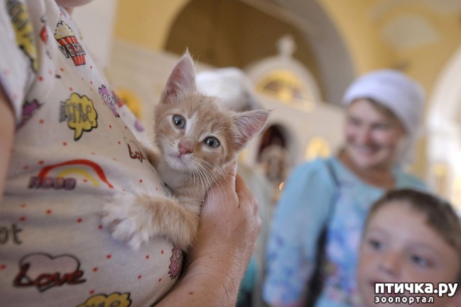 ���� 7: ���� � ������: � ����������� ��������� ��������� �������