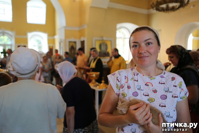 ���� 4: ���� � ������: � ����������� ��������� ��������� �������