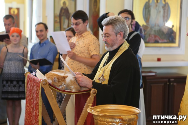 ���� 2: ���� � ������: � ����������� ��������� ��������� �������