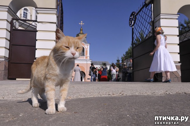 ���� 14: ���� � ������: � ����������� ��������� ��������� �������