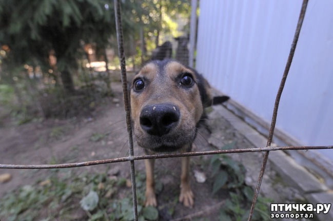 ���� 10: ���� � ������: � ����������� ��������� ��������� �������