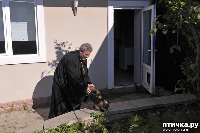 ���� 11: ���� � ������: � ����������� ��������� ��������� �������