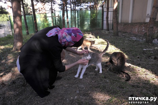 ���� 12: ���� � ������: � ����������� ��������� ��������� �������