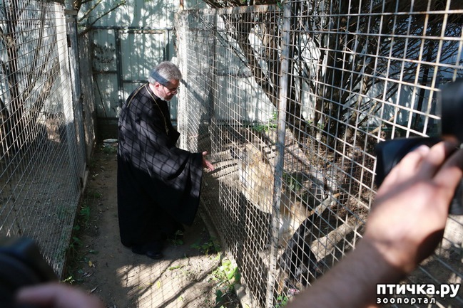 ���� 9: ���� � ������: � ����������� ��������� ��������� �������