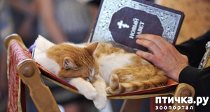 ����: ���� � ������: � ����������� ��������� ��������� �������