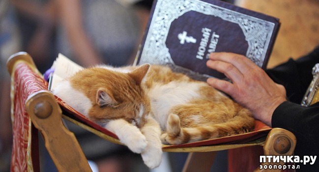 ���� 1: ���� � ������: � ����������� ��������� ��������� �������