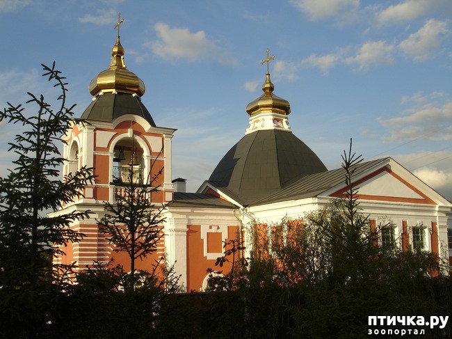 ���� 8: ���� � ������: � ����������� ��������� ��������� �������