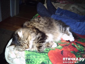 ����: ������ ����� ���� � ����� � �������: ��������� ������