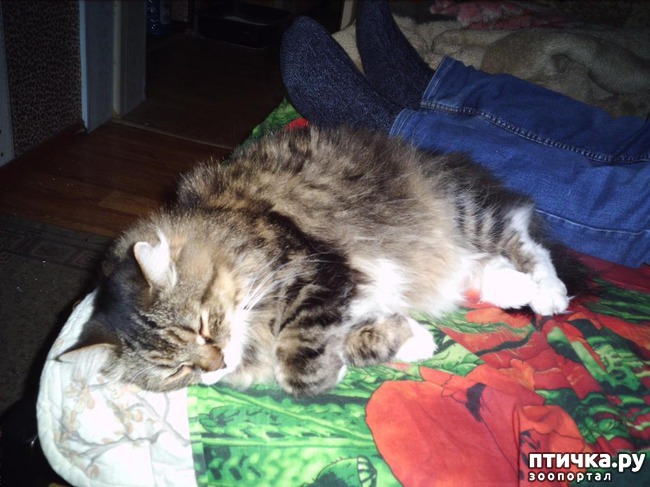 ���� 1: ������ ����� ���� � ����� � �������: ��������� ������