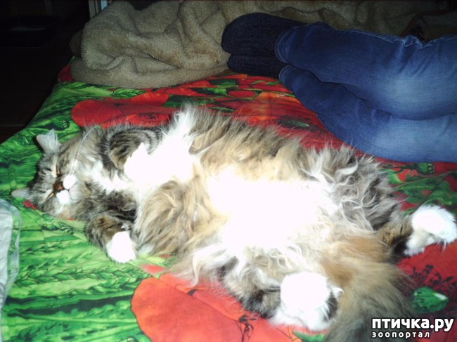 ���� 2: ������ ����� ���� � ����� � �������: ��������� ������