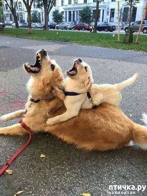 ����: ������ ������ � ������!