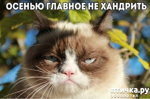 ����: �����������: ����� �����!