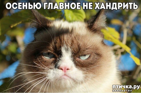 ���� 1: �����������: ����� �����!